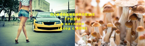 твердый Богородск