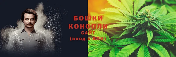 СК Богородицк