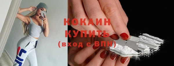 твердый Богородск