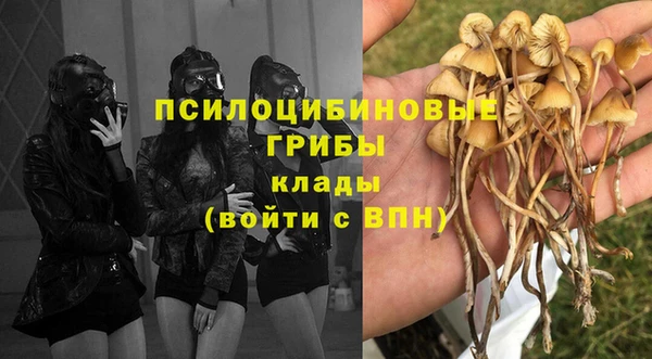 СК Богородицк