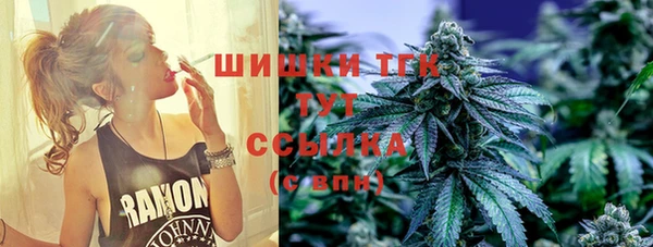 винт Богданович