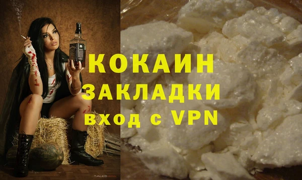 твердый Богородск