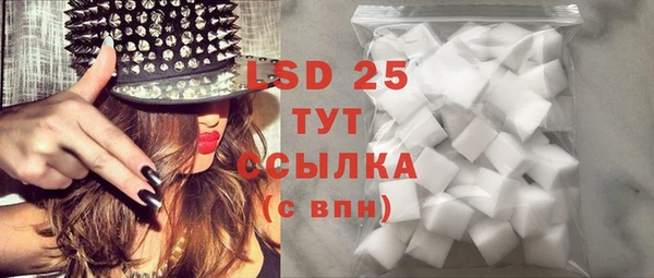 винт Богданович
