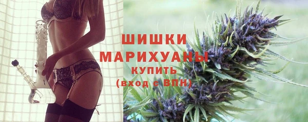 винт Богданович