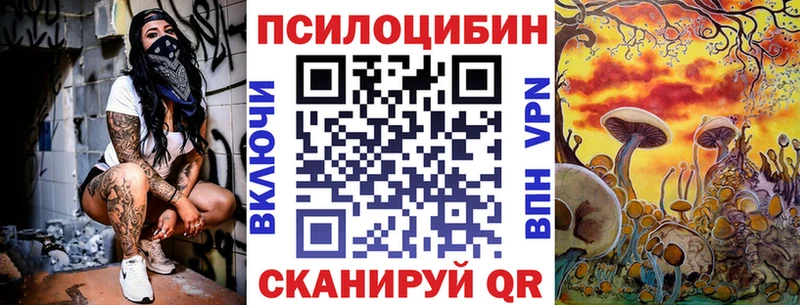 дарнет шоп  Малаховка  MEGA ссылки  Галлюциногенные грибы Psilocybine cubensis 